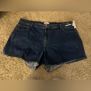 Abercrombie and Fitch Curve Love High Rise Dad Short